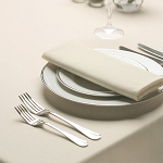 Plain Satin Ivory