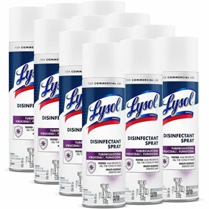 Lysol I.C. Disinfectant Spray - For Hard Surface, Shower, Sink, Toilet, Nonporous Surface, Floor, Wall, Porcelain, Glazed Surface, Plastic, Door Handle, ... - 19 fl oz (0.6 quart) - Recommended For: Germs Remover - Anti-bacterial - Clear - 12 / Carton