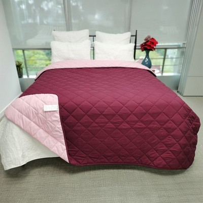 Burgundy & Rose 