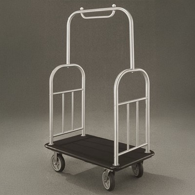Satin Aluminum Finish 