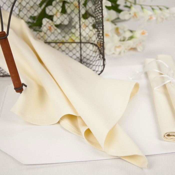 Riegel Dirona Mini-Check 100% 2-Ply Cotton Yarn-Dye Napkins 22x22 6 Dz Per Case Price Per Dz 
