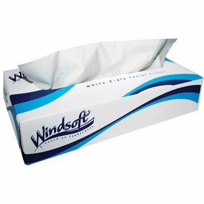 WindSoft 2 Ply Premium Tissue Paper White 30 Boxes of 100 Tissues in Each Case Price Per Case 